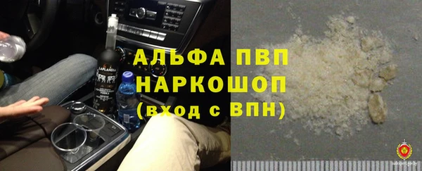 индика Армянск