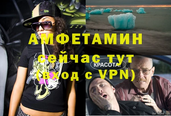 индика Армянск