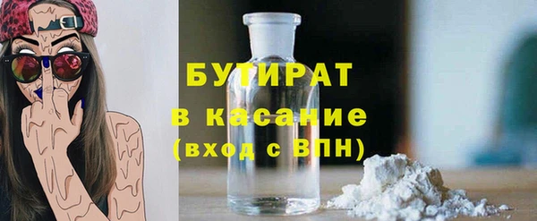шишки Аркадак