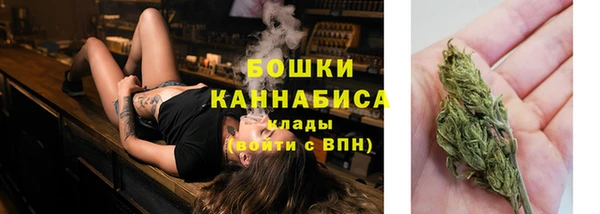 ГАЛЛЮЦИНОГЕННЫЕ ГРИБЫ Арсеньев