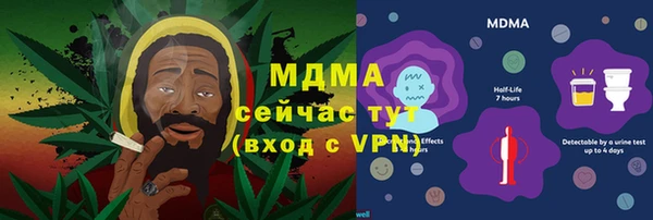 шишки Аркадак
