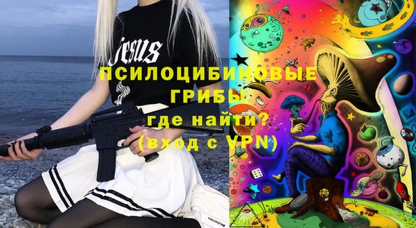 шишки Аркадак