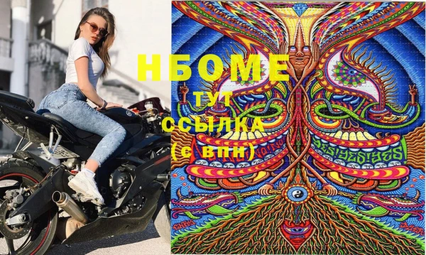 шишки Аркадак