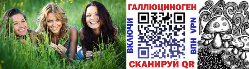 kraken ССЫЛКА  Мглин  маркетплейс Telegram  Галлюциногенные грибы Cubensis 